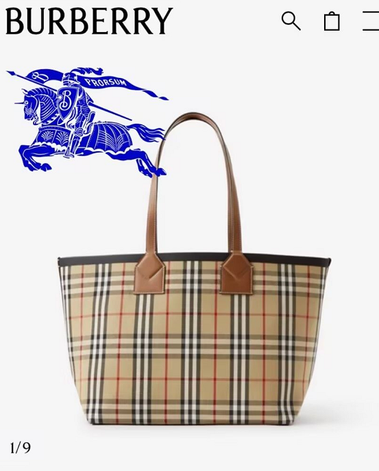 Burberry Handbags AAAA(Women)-001
