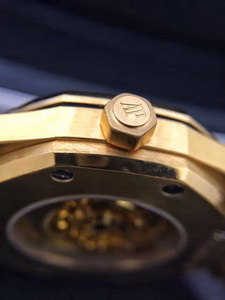 AP Mechanical Watch-020