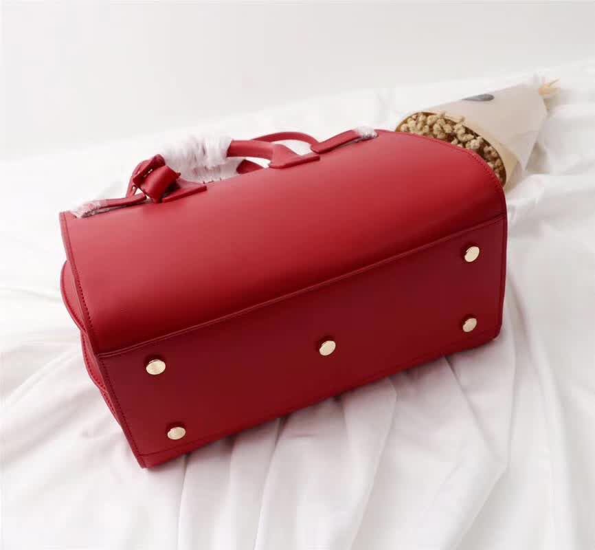 YSL Handbags AAA(Women)-006