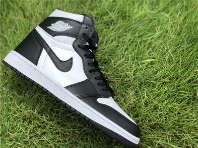 Air Jordan I Retro-027