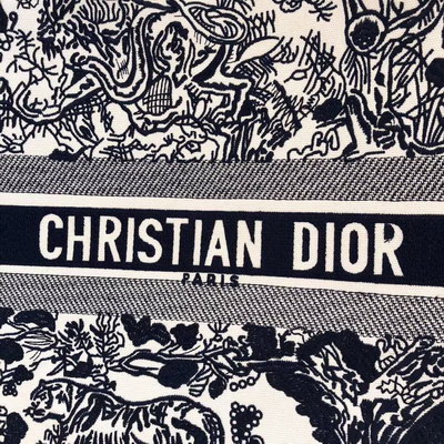 Dior Handbags AAAA(Women)-004
