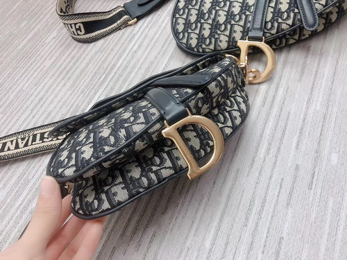 Dior Handbags AAA(Women)-014
