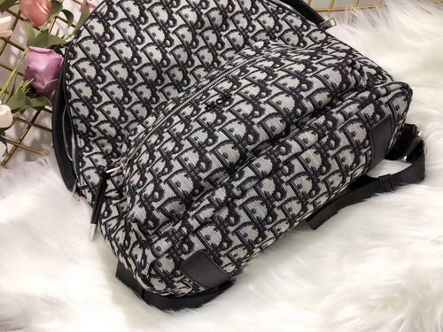 Dior Backpack(AAA)-001