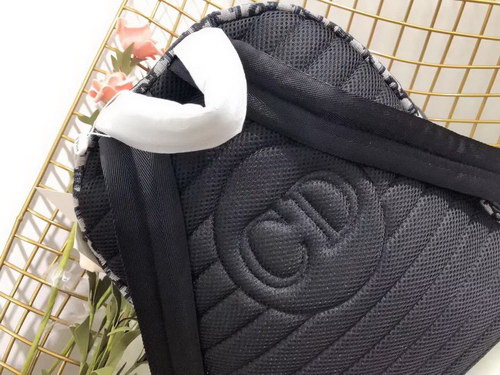 Dior Backpack(AAA)-001