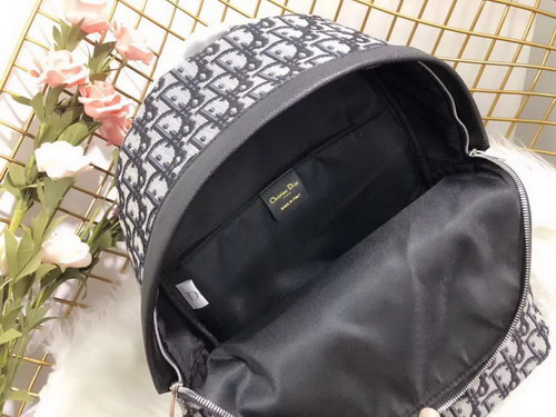 Dior Backpack(AAA)-001