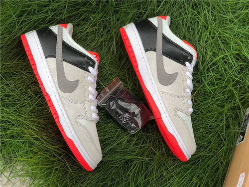 Nike Dunk SB Low Pro ISO