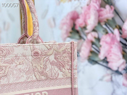 Dior Handbags AAAA(Women)-055
