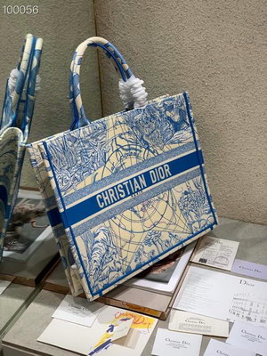 Dior Handbags AAAA(Women)-056