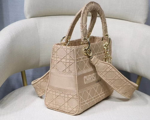 Dior Handbags AAAA(Women)-054