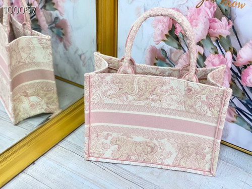 Dior Handbags AAAA(Women)-055