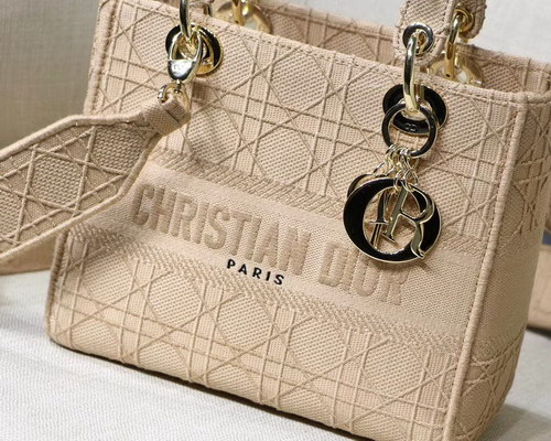 Dior Handbags AAAA(Women)-054