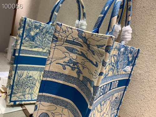 Dior Handbags AAAA(Women)-056