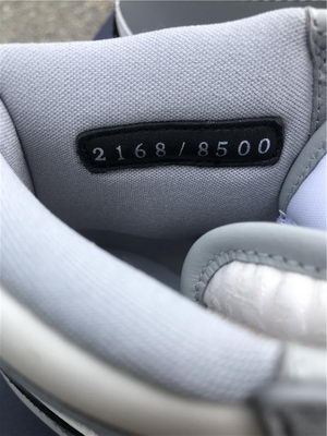 Dior x Air Jordan 1 High OG