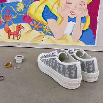 Dior Shoes AAA(Women)-071