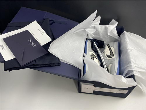 Dior x Air Jordan 1 High OG Low