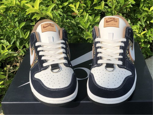 Dior x Nike Dunk Low-002