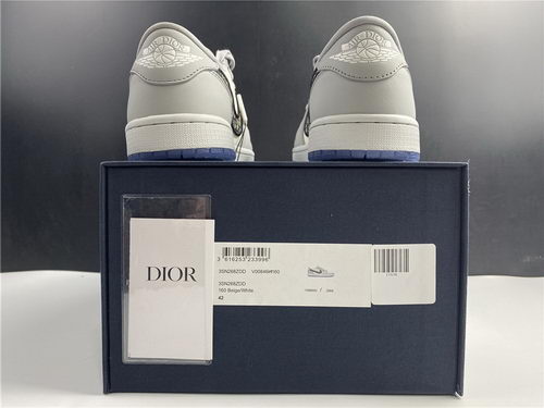 Dior x Air Jordan 1 High OG Low