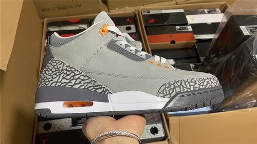 Air Jordan 3``Cool Gray''''