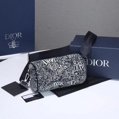 Dior Handbags AAAA(Men)-004