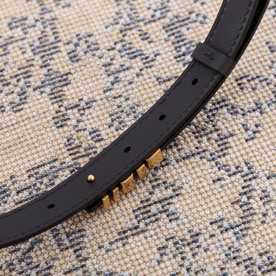 Dior Belts Women(AAAAA)-008