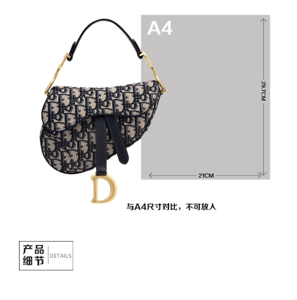 Dior Handbags AAAA(Women)-066