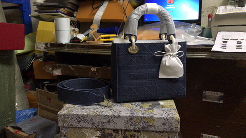 Dior Handbags AAAA(Women)-067