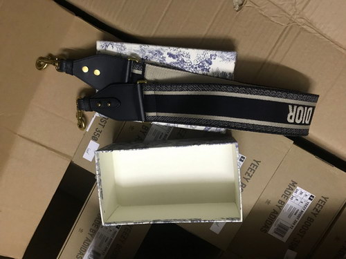 Dior Strap-068