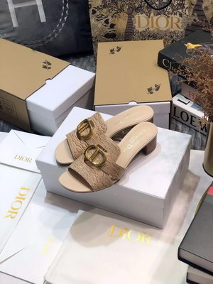 Dior Slippers Women(AAAA)-022
