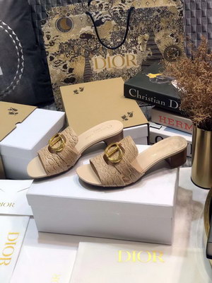 Dior Slippers Women(AAAA)-022