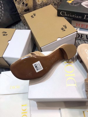 Dior Slippers Women(AAAA)-022