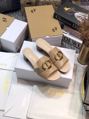 Dior Slippers Women(AAAA)-022