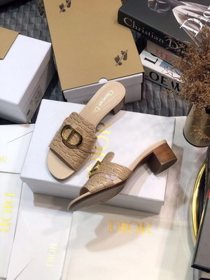 Dior Slippers Women(AAAA)-022