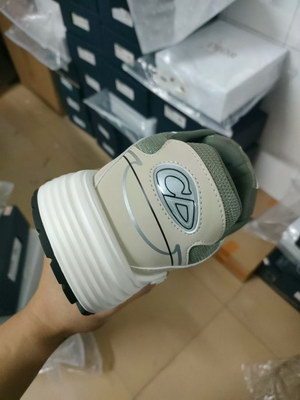 Dior Shoes(AAA)-200