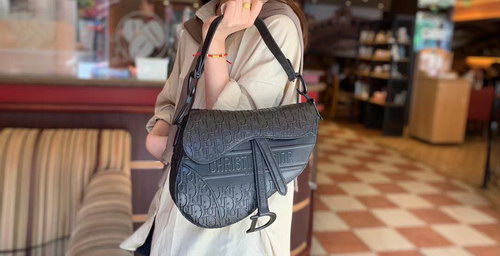 Dior Handbags AAAA(Women)-093