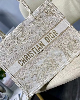 Dior Handbags AAAA(Women)-079