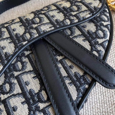 Dior Handbags AAAA(Women)-095