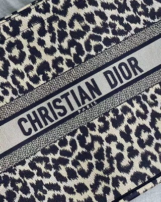 Dior Handbags AAAA(Women)-088