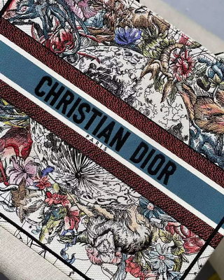 Dior Handbags AAAA(Women)-084