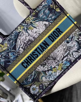Dior Handbags AAAA(Women)-087