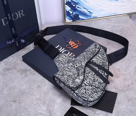 Dior Handbags AAAA(Men)-005