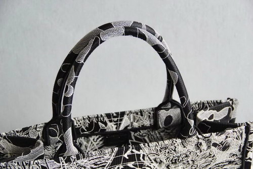 Dior Handbags AAAA(Women)-069