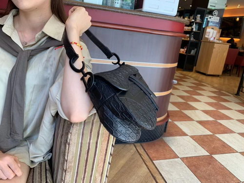 Dior Handbags AAAA(Women)-093