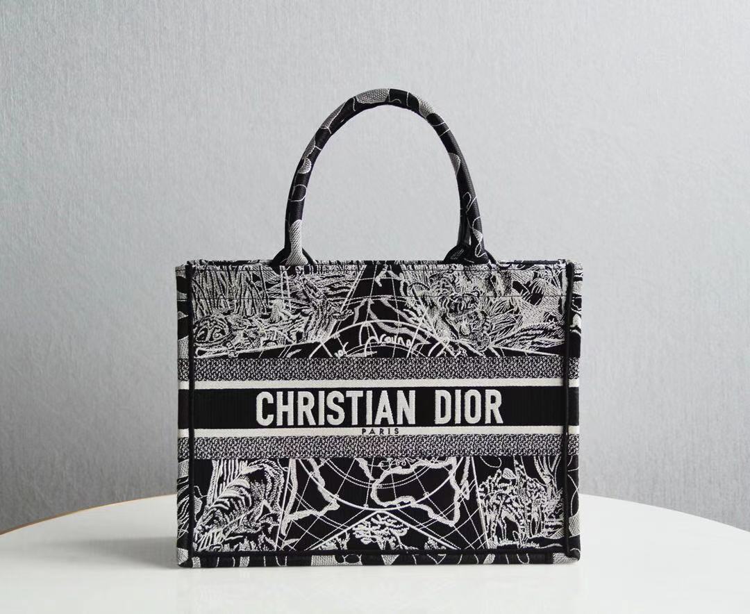 Dior Handbags AAAA(Women)-069