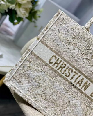 Dior Handbags AAAA(Women)-079