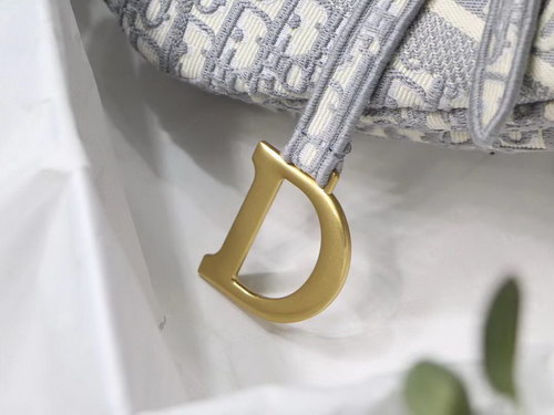 Dior Handbags AAAA(Women)-091