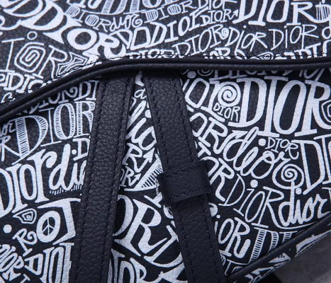 Dior Handbags AAAA(Men)-005