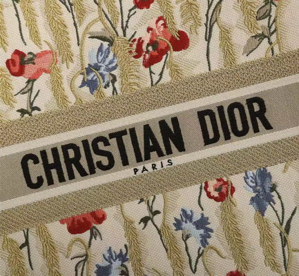 Dior Handbags AAAA(Women)-083