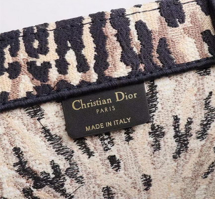 Dior Handbags AAAA(Women)-067