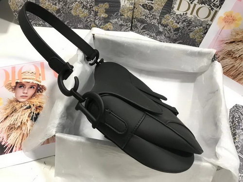Dior Handbags AAAA(Women)-092