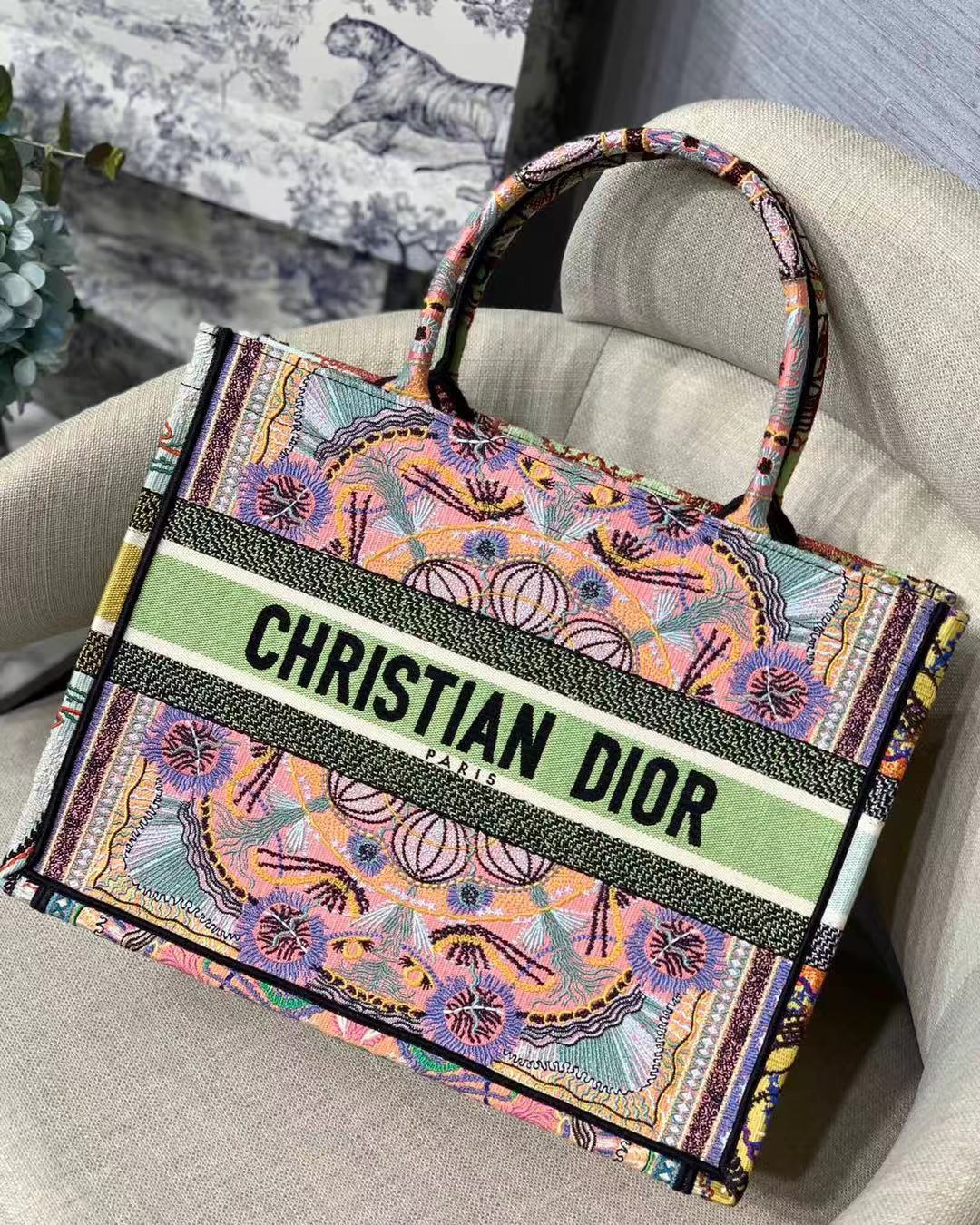 Dior Handbags AAAA(Women)-076